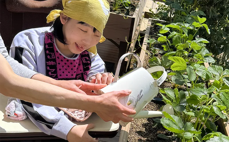 すまいる畑で野菜作り